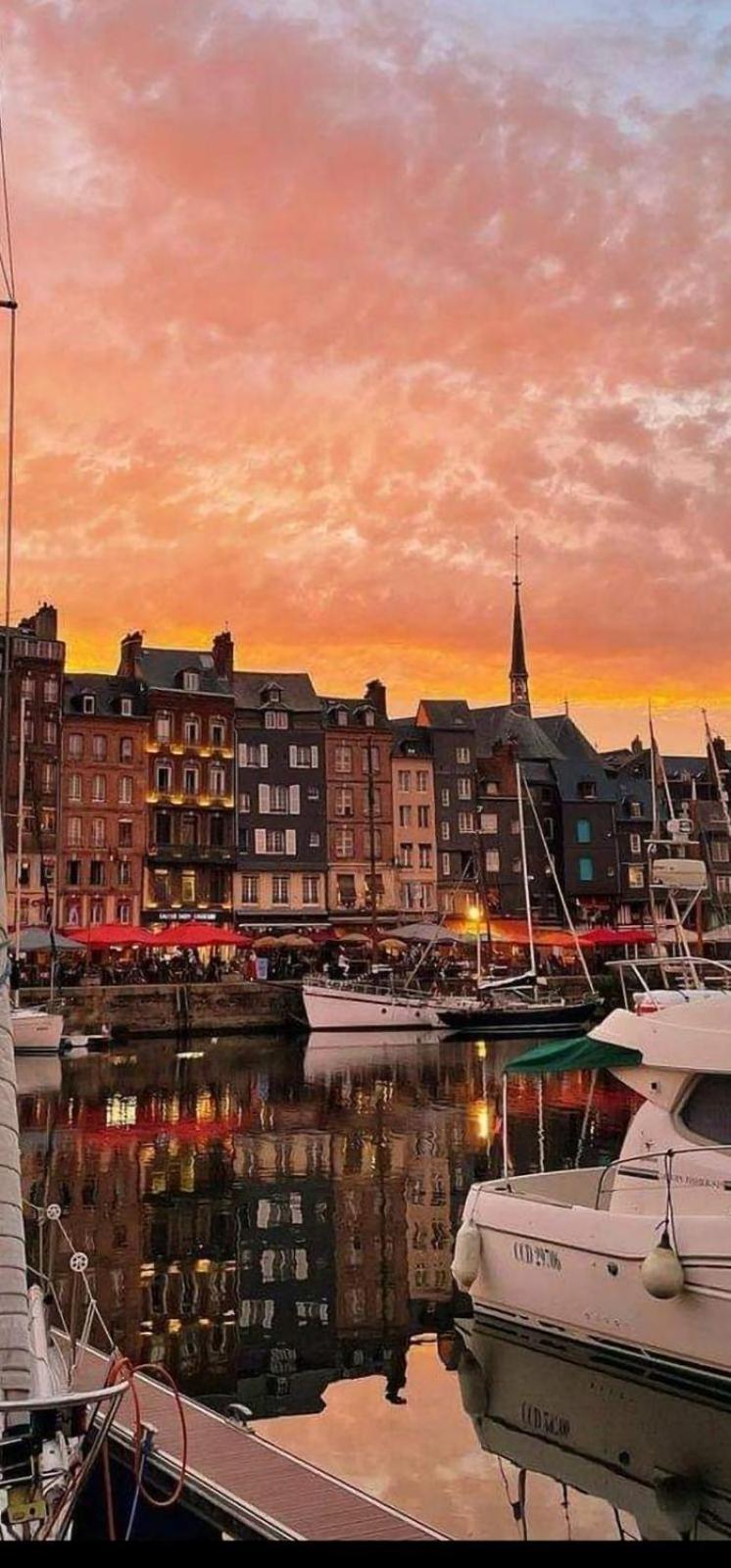 Appartement Le Petit Honfleur